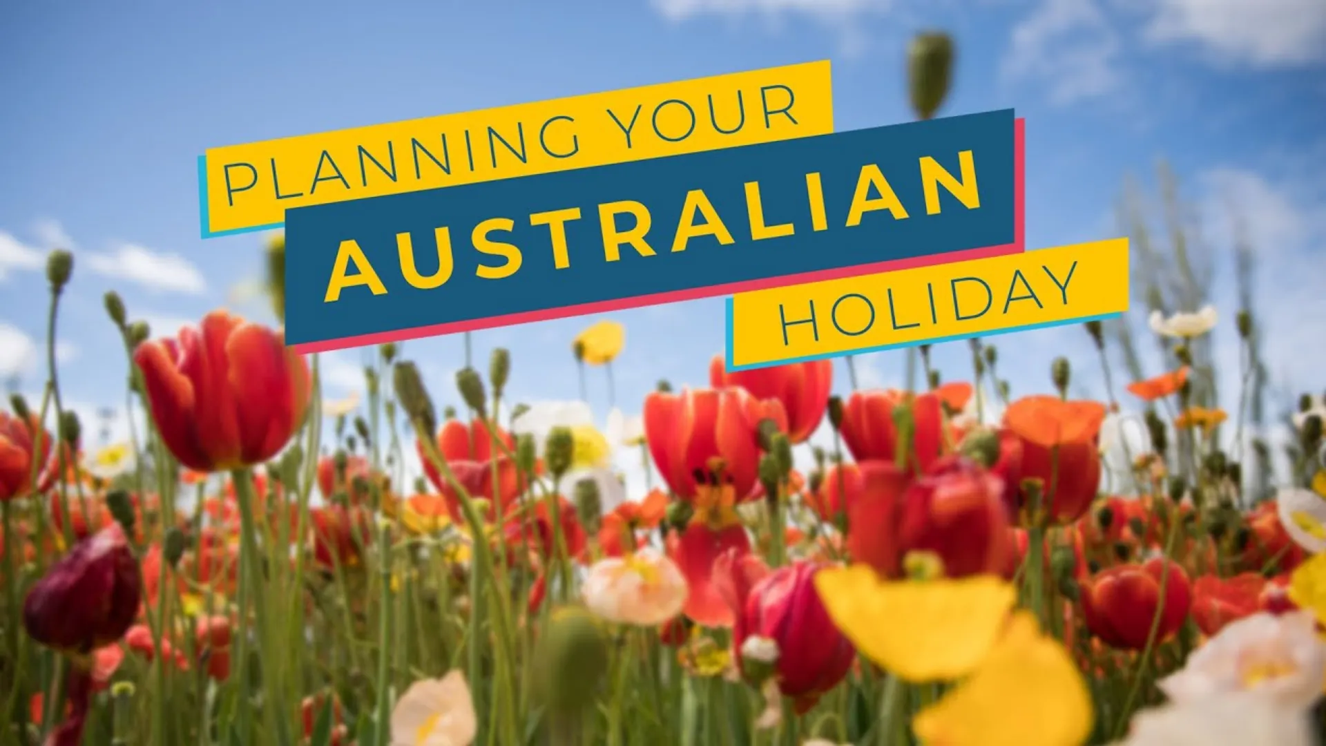 Red and yellow poppies in a field, with the title Planning Your Australian Holiday.