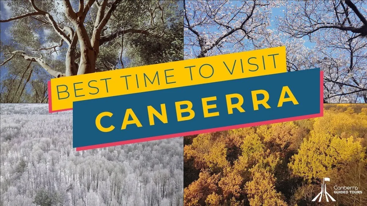Diagonal banner reading BEST TIME TO VISIT CANBERRA over a four-panel collage showing summer gum trees, spring cherry blossoms, a snow-covered forest and golden autumn foliage with a small Canberra Guided Tours logo