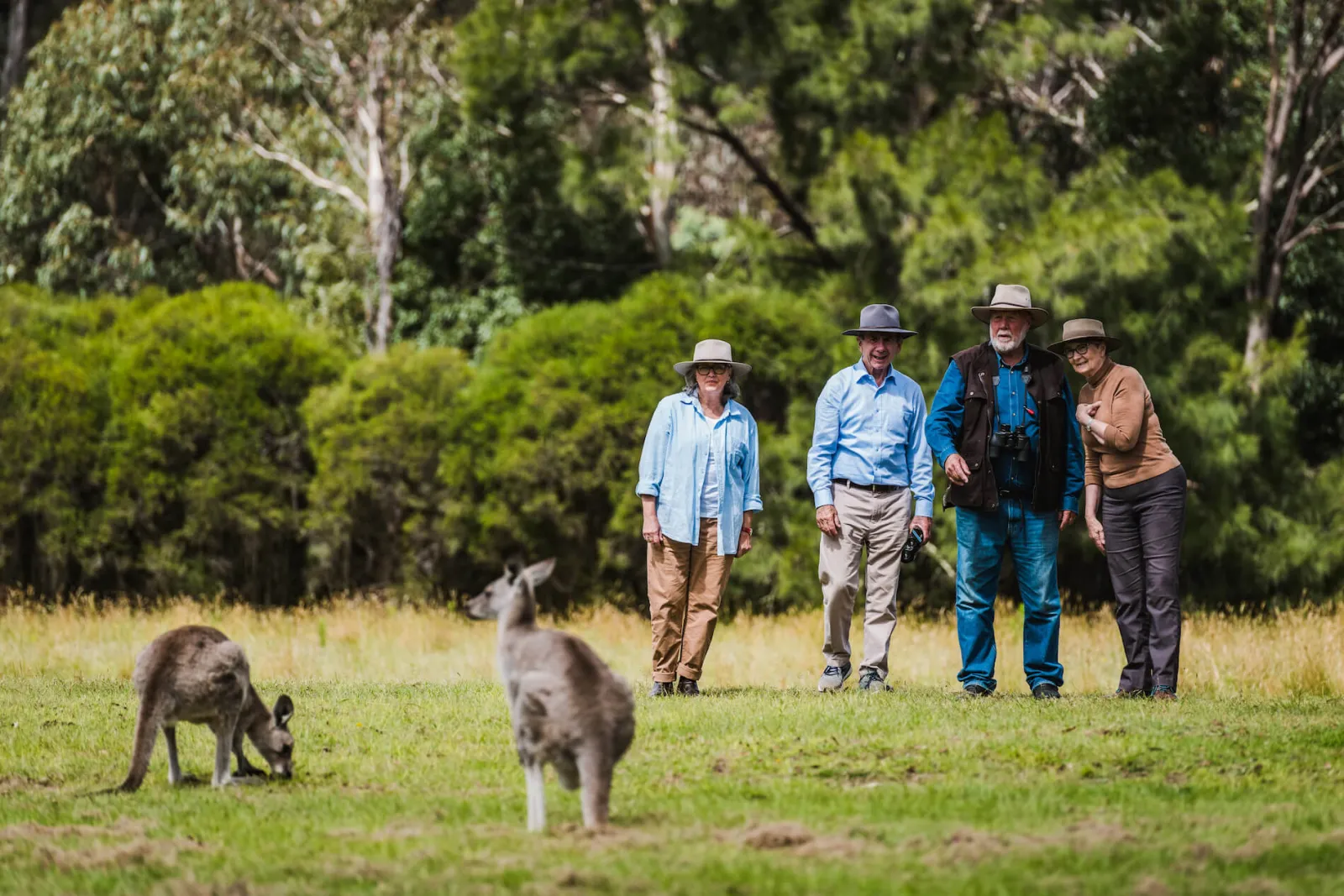 Four visitors in wide-brimmed hats stand in a grassy clearing at the edge of the bush, watching two grey kangaroos graze in the foreground.