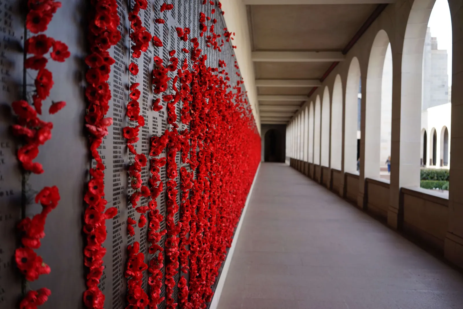 Red poppies placed along the Roll of Honour at the Australian War Memorial.
