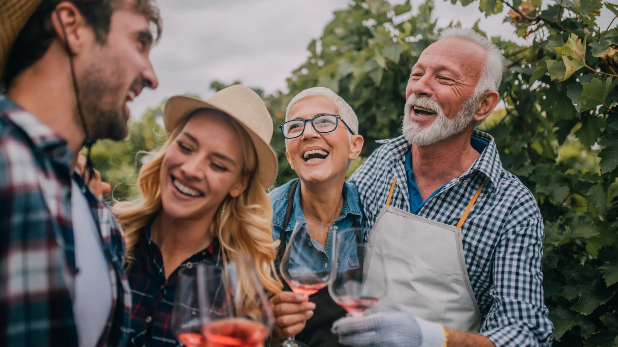 Two couples laugh together over glasses of rosé in a vineyard.