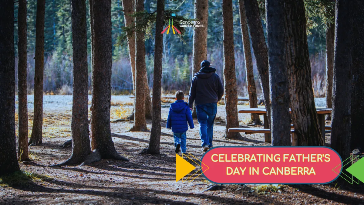 A father and young child walk hand-in-hand through a sunlit pine forest toward wooden picnic tables, with a Canberra Guided Tours logo near the top and a colourful banner at the bottom right reading "Celebrating Father's Day in Canberra".