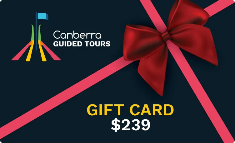 Dark navy gift card with pink diagonal ribbon and large red bow, Canberra Guided Tours logo at top left and bold text 'GIFT CARD $239' in yellow and white.