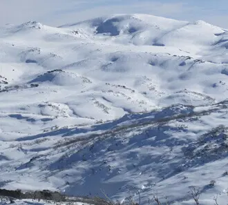 Snow-covered rolling hills and rounded mountain ridges under a pale blue sky, with scattered rocky outcrops and sparse low shrubs peeking through the drifts.